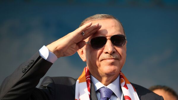 Turkish President Tayyip Erdogan salutes during a gathering in Kayseri, Turkey, October 19, 2019.  - Sputnik International