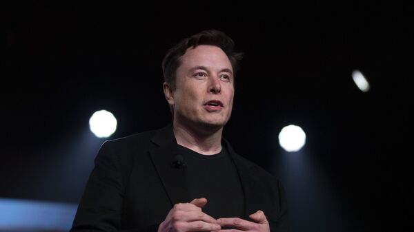 Tesla CEO Elon Musk - Sputnik International