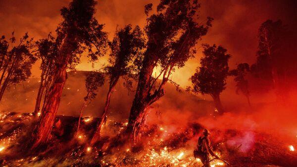 Flames from a backfire consume a hillside as firefighters battle the Maria Fire in Santa Paula, Calif., on Friday, Nov. 1, 2019. According to Ventura County Fire Department, the blaze has scorched more than 8,000 acres and destroyed at least two structures. (AP Photo/Noah Berger) - Sputnik International