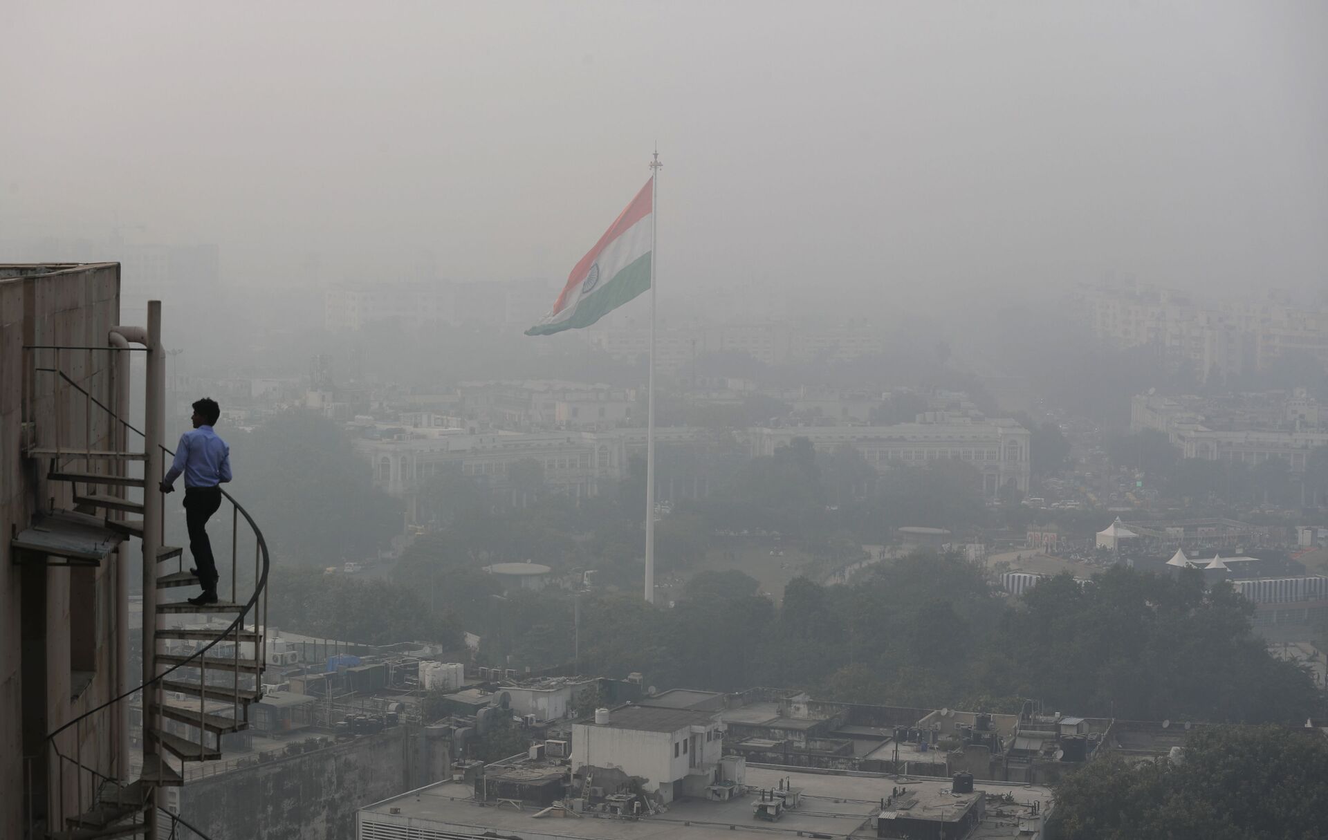 Delhi Gov't to Launch Massive Plantation Drive to Curb Perennial Air Pollution Challenge - Sputnik International, 1920, 02.06.2021