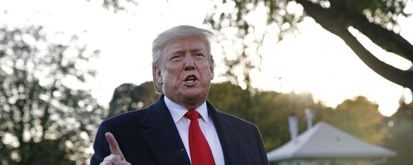 President Donald Trump speaks to members of the media on the South Lawn of the White House in Washington President Donald Trump speaks to members of the media on the South Lawn of the White House in Washington - Sputnik International