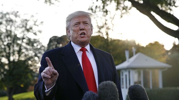 President Donald Trump speaks to members of the media on the South Lawn of the White House in Washington - Sputnik International