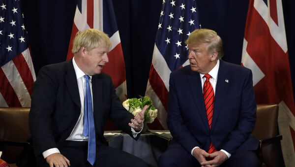 President Donald Trump meets with British Prime Minister Boris Johnson - Sputnik International