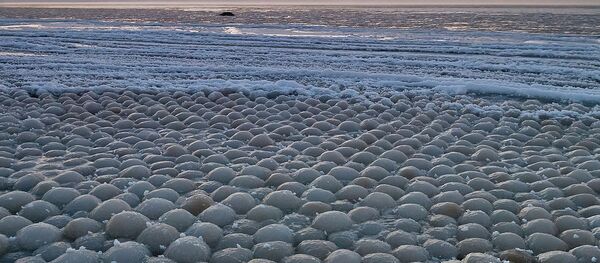 Ball ice in Stroomi beach - Sputnik International