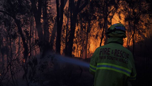 Fire and Rescue NSW firefighters conduct property protection as a bushfire burns close to homes on Railway Parade in Woodford NSW - Sputnik International