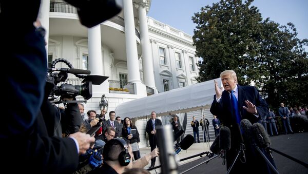 President Donald Trump speaks to reporters on the South Lawn of the White House in Washington, Friday, Nov. 8, 2019, before boarding Marine One for a short trip to Andrews Air Force Base, Md. and then on to Georgia to meet with supporters. - Sputnik International