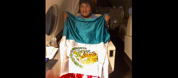 This photo released by by Mexico's Foreign Minister Marcelo Ebrard shows Bolivia's former President Evo Morales holding a Mexican flag aboard a Mexican Air Force aircraft, 11 November 2019 - Sputnik International