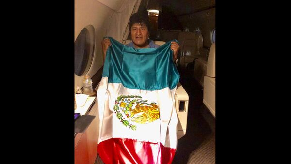 This photo released by by Mexico's Foreign Minister Marcelo Ebrard shows Bolivia's former President Evo Morales holding a Mexican flag aboard a Mexican Air Force aircraft, Monday, Nov. 11, 2019 - Sputnik International
