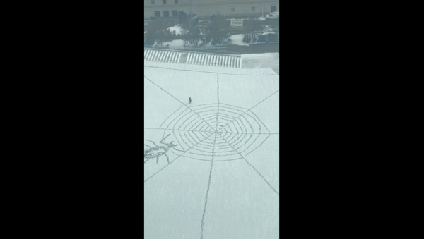 Ohio Local Takes Advantage of Winter Mix, Creates Spidery Snow Art - Sputnik International