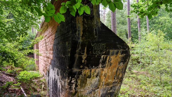 Remain of Route 46, an abandoned motorway from the Nazi era, in a forest near Wuerzburg, Germany - Sputnik International