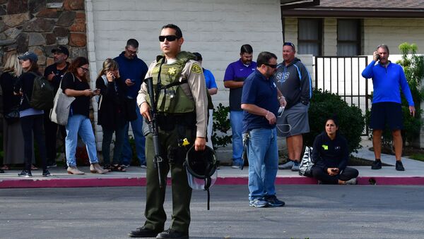 An armed Los Angeles Couty Sheriff's Department officer in Santa Clarita, California - Sputnik International