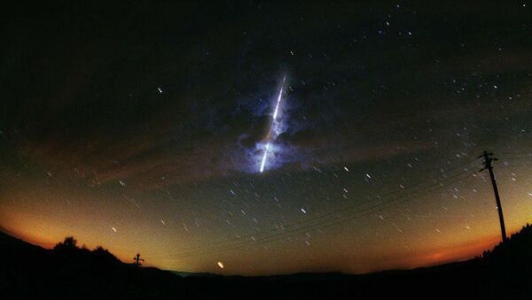 A meteor streaking across the sky during the Leonid meteor shower - Sputnik International
