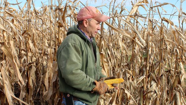 Corn and soybean farmer Don Swanson prepares to harvest his corn crop as he and other Iowa farmers struggle with the effects of weather and ongoing tariffs resulting from the trade war between the United States and China that continue to effect agricultural business in Eldon, Iowa U.S. October 4, 2019.  - Sputnik International