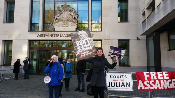Supporters of Julian Assange hold signs outside of Westminster Magistrates Court on 18 Nov 2019 - 2000 x 1125 - Sputnik International