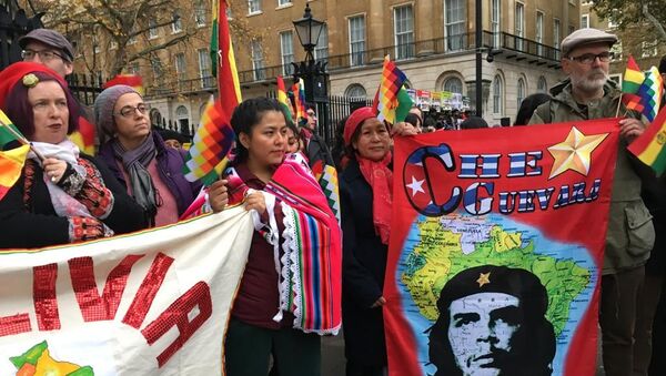 Protestors from numerous organisations hold banners and Whipala flags outside 10 Downing street to condemn the violence spreading across Bolivia following Evo Morales' asylum in Mexico - Sputnik International