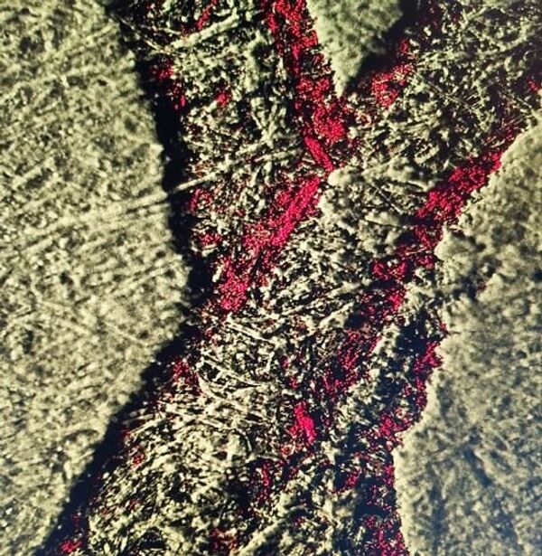 Handwriting as Detector: Scientists Learn to Evaluate the Psyche With Lasers - Sputnik International