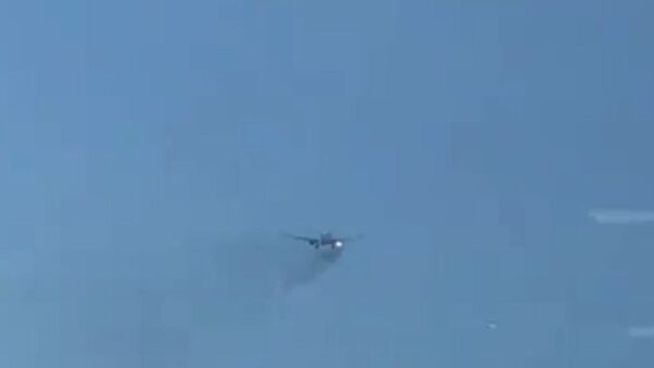 Shocking footage shows a plane's engine apparently spewing flames over Los Angeles International Airport - Sputnik International
