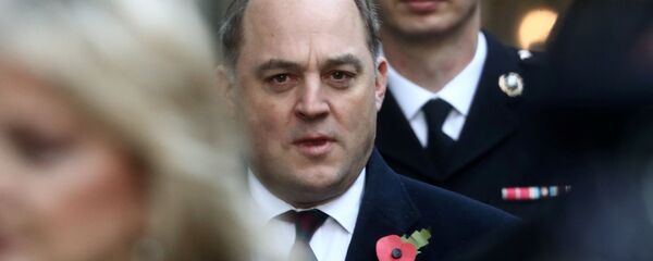 Britain's Defence Secretary Ben Wallace Britain's Defence Secretary Ben Wallace - Sputnik International