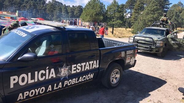 Mexican police in the Nevado de Toluca national park - Sputnik International