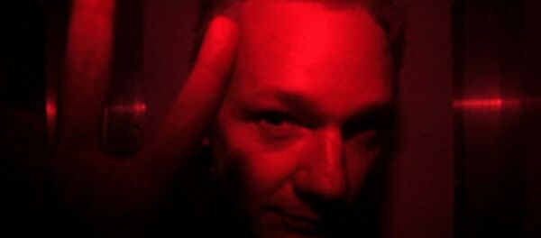 Julian Assange V Julian Assange V - Sputnik International