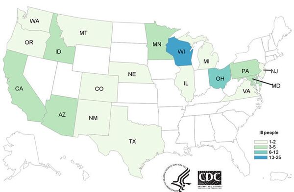 E. Coli Outbreak on Romaine Lettuce Has Spread to 19 US States, Affected 67 - CDC E. Coli Outbreak on Romaine Lettuce Has Spread to 19 US States, Affected 67 - CDC - Sputnik International