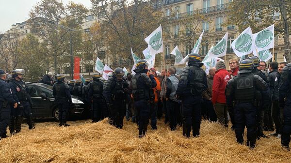 French farmers  protesting against low farm incomes and growing criticism of agricultural practices, France, November 27, 2019 - Sputnik International