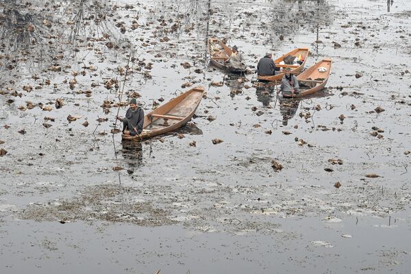 Men steer boats in Nigeen Lake during a cold day in Srinagar on 26 November 2019. - Sputnik International