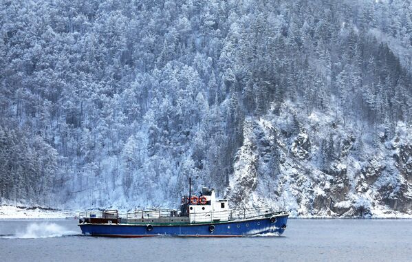 A boat navigates along the Yenisei River in Krasnoyarsk Krai, Russia - Sputnik International