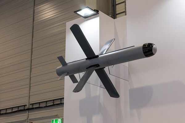 Israeli Ground Attack Missiles Will Fill Gap in US Army Chopper Arsenal - Sputnik International