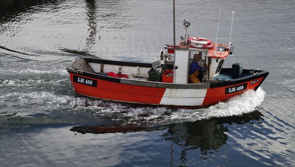 A fisherman boat enters the port of Eyemouth, south coast of Edinburgh, Scotland - Sputnik International