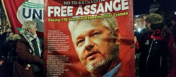 Two women came to anti NATO demo to denounce treatment of WikiLeaks founder Julian Assange - Sputnik International