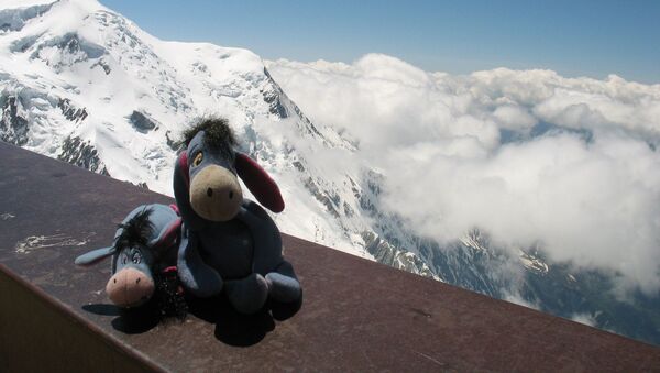Eeyore & EJ Above the Clouds in the Alps. Chamonix, France - Sputnik International