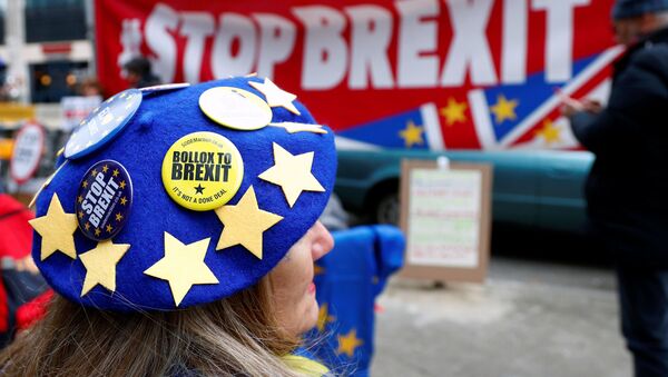Anti-Brexit badges on a protester's beret are pictured during a demonstration in front of the British embassy in Brussels, Belgium December 5, 2019. - Sputnik International