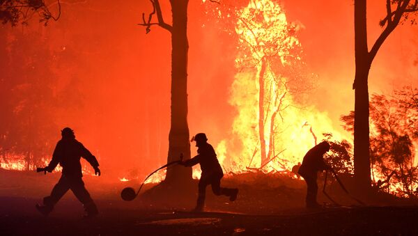 Rural Fire Service (RFS) volunteers and NSW Fire and Rescue officers fight a bushfire encroaching on properties near Termeil, Australia, December, 3, 2019.  - Sputnik International