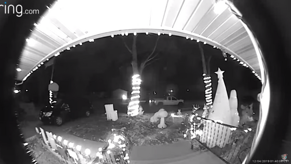 Mystery Person Takes Out Anger on Innocent Christmas Decor - Sputnik International