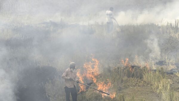 In this photo taken on November 6, 2019, farmers burn straw stubble after harvesting paddy crops in a field at a village near Sultanpur Lodhi. - Sputnik International