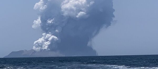 White Island volcano, New Zealand, 09.12.2019 White Island volcano, New Zealand, 09.12.2019 - Sputnik International