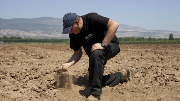 In this Wednesday, 17 July  2018, photo, Israeli farmer Ofer Moskovitz checks soil in his field near Kfar Yuval, Israel - Sputnik International