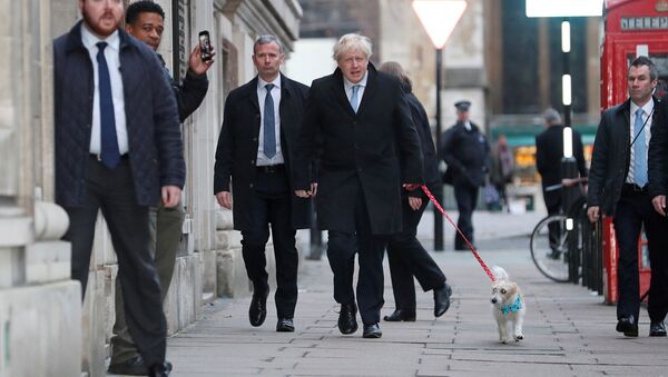 Britain's Prime Minister Boris Johnson arrives with his dog Dilyn at a polling station at the Methodist Central Hall to vote in the general election in London, Britain, December 12, 2019 - Sputnik International