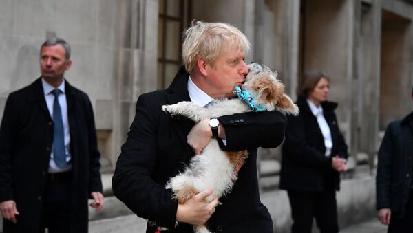 Britain's Prime Minister Boris Johnson holds his dog Dilyn as leaves a polling station, at the Methodist Central Hall, after voting in the general election in London, Britain - Sputnik International