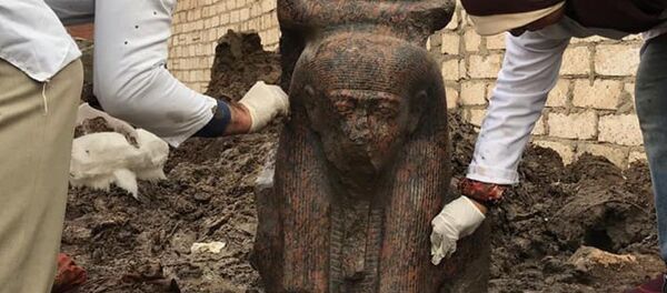 A rare pink statue of Ancient Egypt’s King Ramses II A rare pink statue of Ancient Egypt’s King Ramses II - Sputnik International