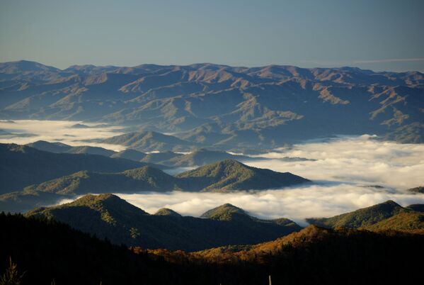 View of the Great Smoky Mountains in the US. - Sputnik International