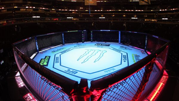 General view of the UFC 238 octagon - Sputnik International