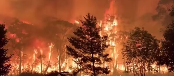A fire blazes across bush as seen from Mount Tomah in New South Wales - Sputnik International