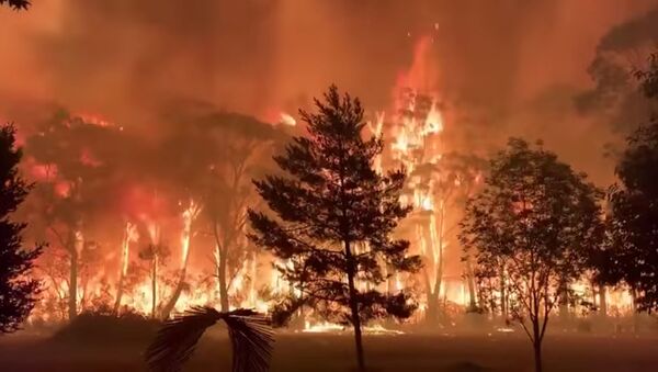 A fire blazes across bush as seen from Mount Tomah in New South Wales - Sputnik International