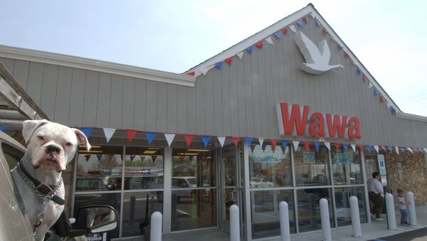 The first Wawa convenience store, opened in April 1964 - Sputnik International