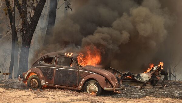 Машина, сгоревшая из-за лесных пожаров в Австралии - Sputnik International