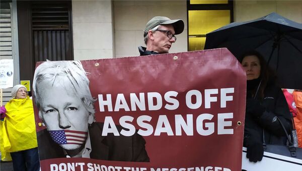 A man holds a banner at a rally in support of Assange in London - Sputnik International