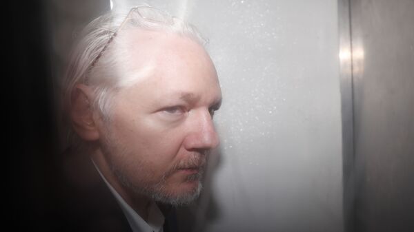 WikiLeaks founder Julian Assange is seen in a prison van traveling to Westminster Magistrates Court in London, Friday, Dec. 20, 2019. Assange is expected to appear in person before Westminster Magistrates in a private hearing related to a Spanish criminal case about alleged surveillance at the Ecuador embassy - Sputnik International