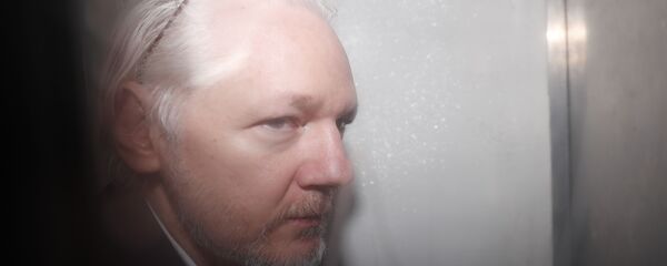WikiLeaks founder Julian Assange is seen in a prison van traveling to Westminster Magistrates Court in London, Friday, Dec. 20, 2019. Assange is expected to appear in person before Westminster Magistrates in a private hearing related to a Spanish criminal case about alleged surveillance at the Ecuador embassy WikiLeaks founder Julian Assange is seen in a prison van traveling to Westminster Magistrates Court in London, Friday, Dec. 20, 2019. Assange is expected to appear in person before Westminster Magistrates in a private hearing related to a Spanish criminal case about alleged surveillance at the Ecuador embassy - Sputnik International